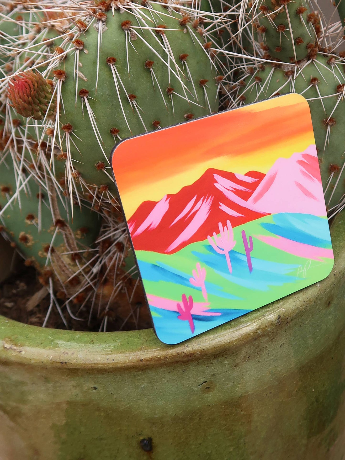 "Desert Vibrance" Boxed Coaster Set