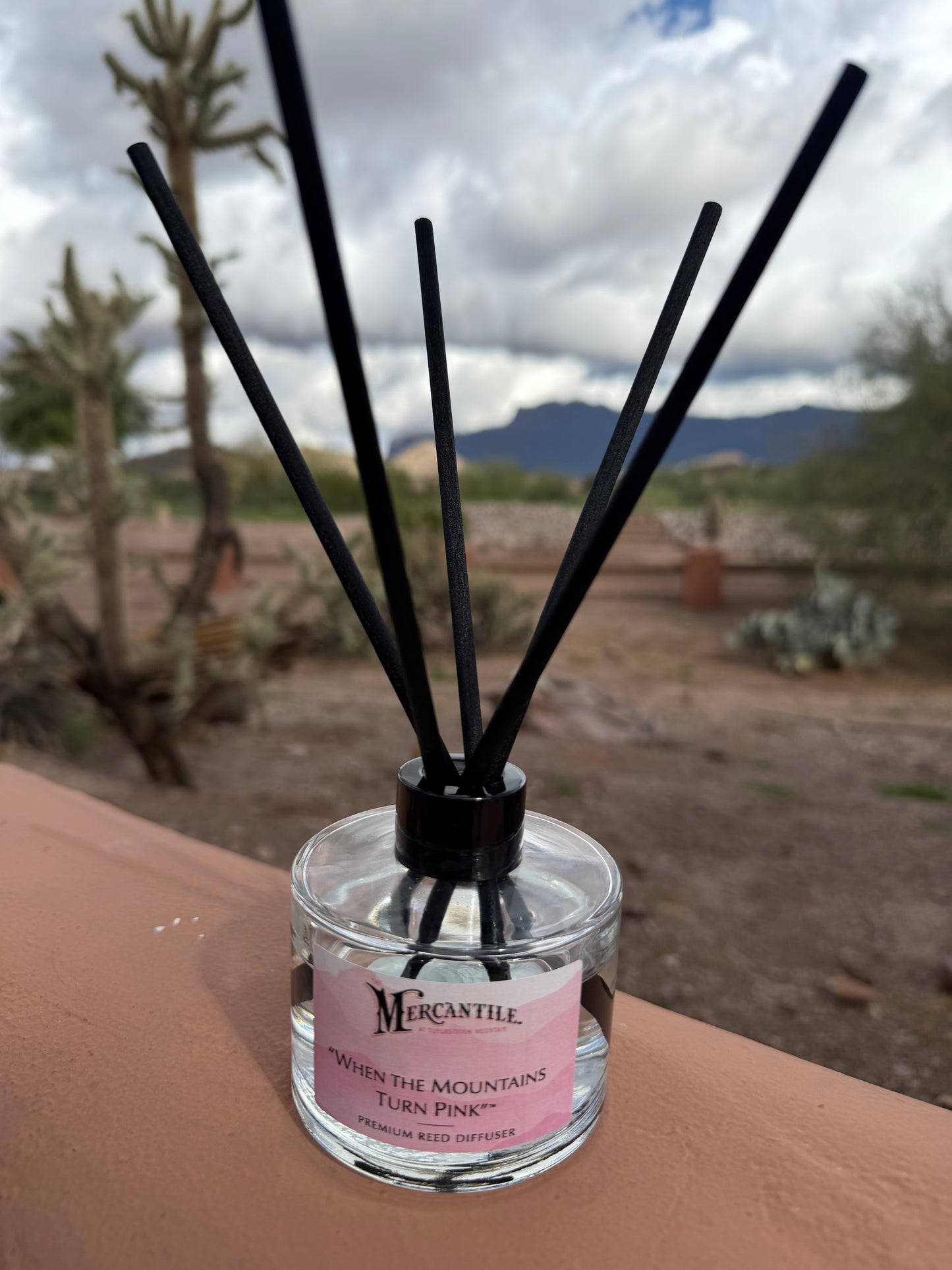 WTMTP Reed Diffuser