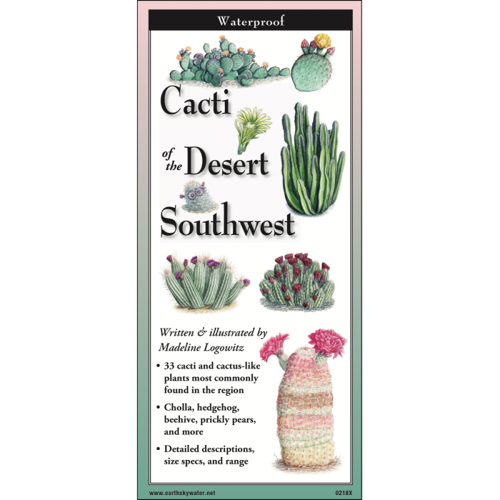 Cacti of the Desert Southwest