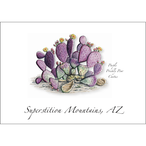 Purple Prickly Pear Cactus