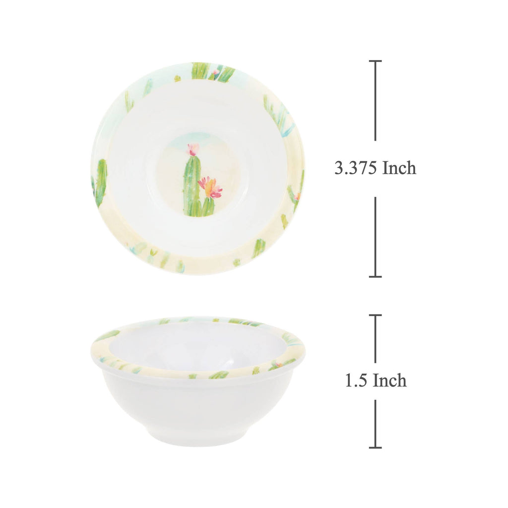 Mini Bowl Cactus Garden 6-Piece