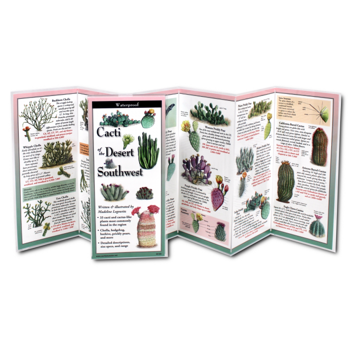 Cacti of the Desert Southwest