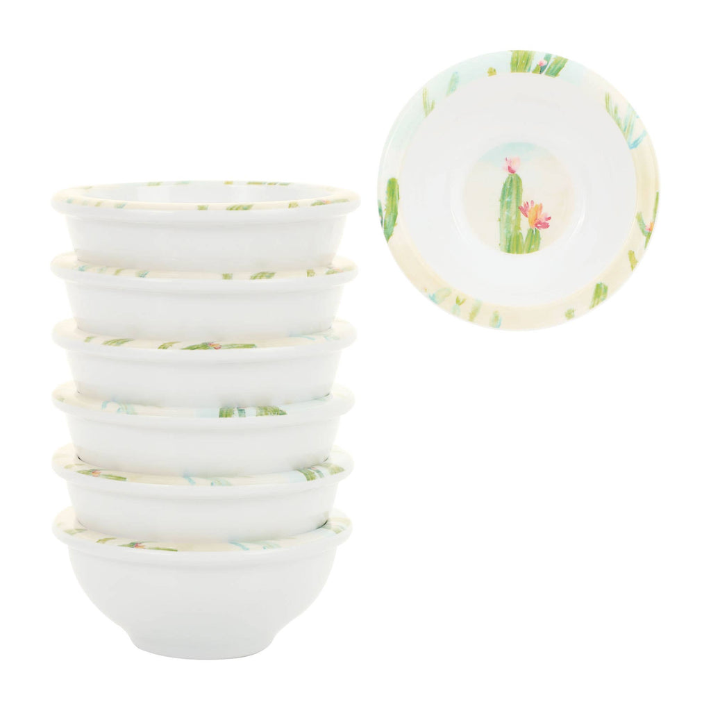Mini Bowl Cactus Garden 6-Piece