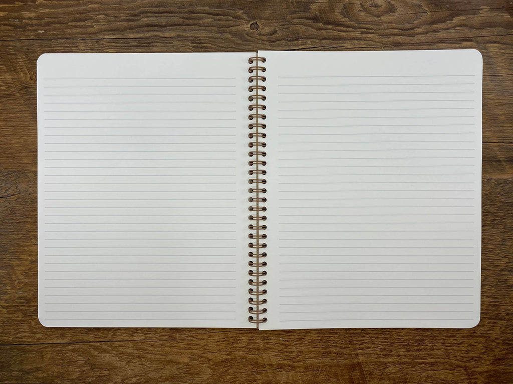 Desert Notebook