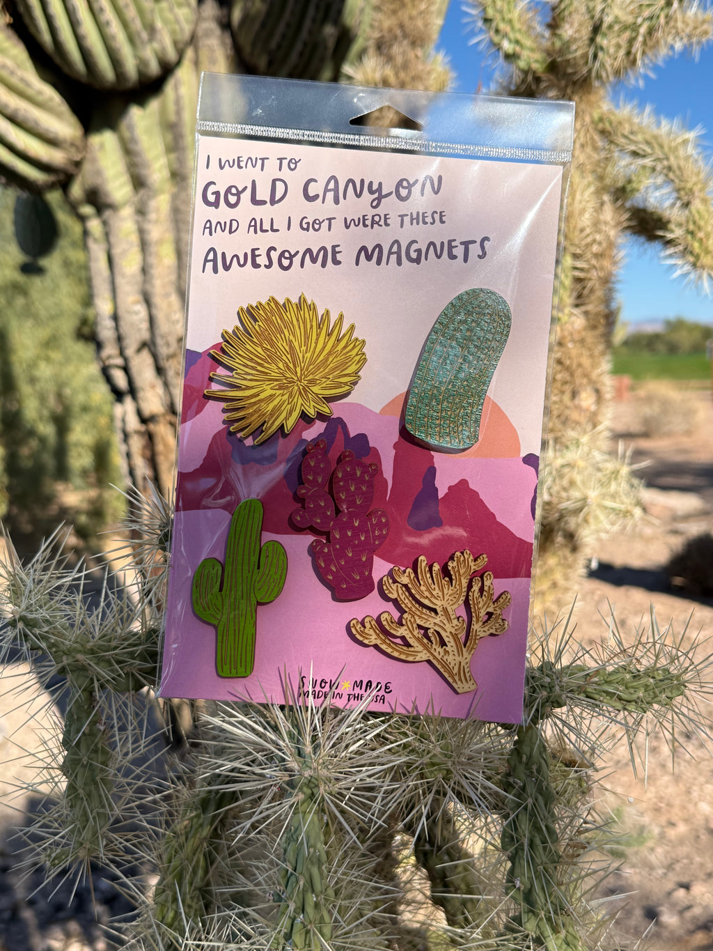 Magnet Set- Awesome Cactus