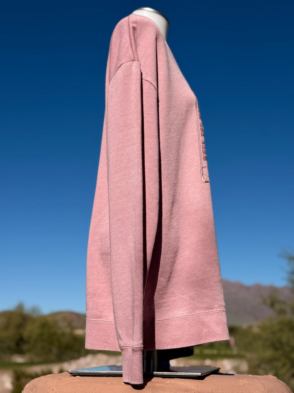 Weathered pink crewneck sweatshirt with flower graphic against blue sky, evoking sunsets and nature solitude.