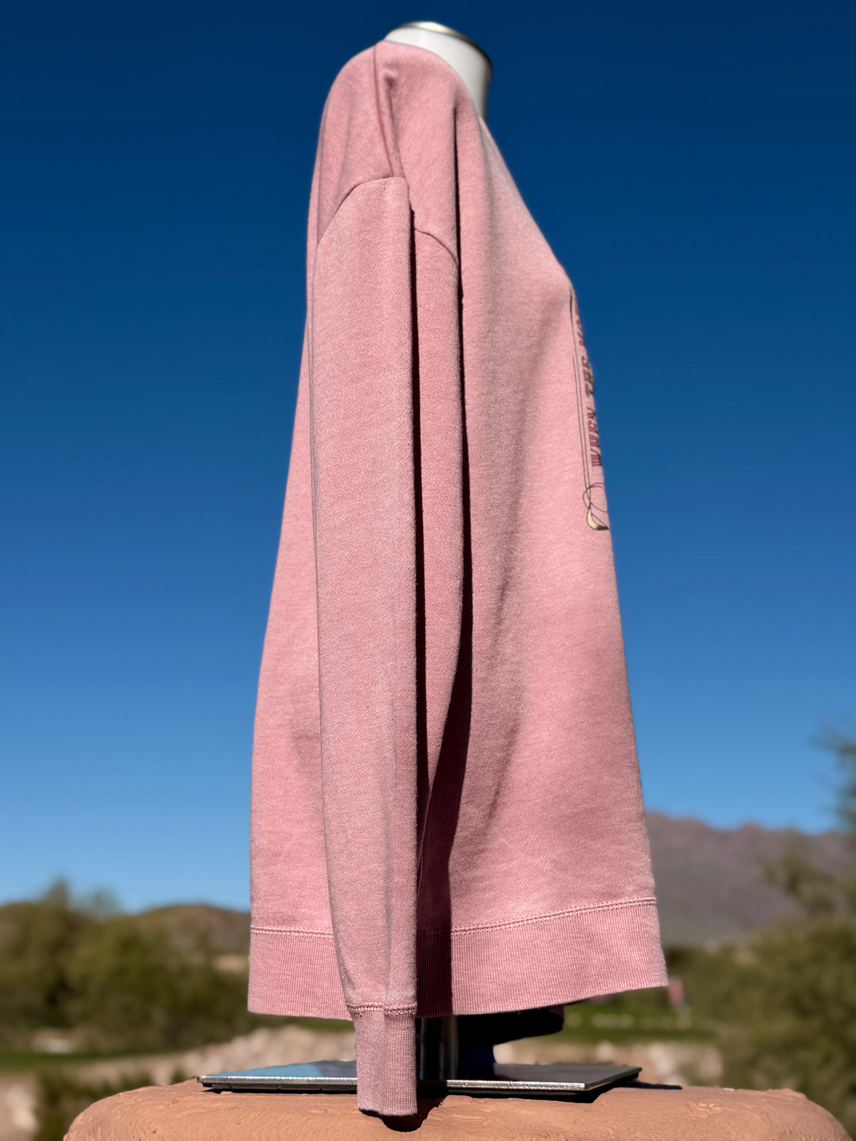 Weathered pink crewneck sweatshirt with flower graphic against blue sky, evoking sunsets and nature solitude.