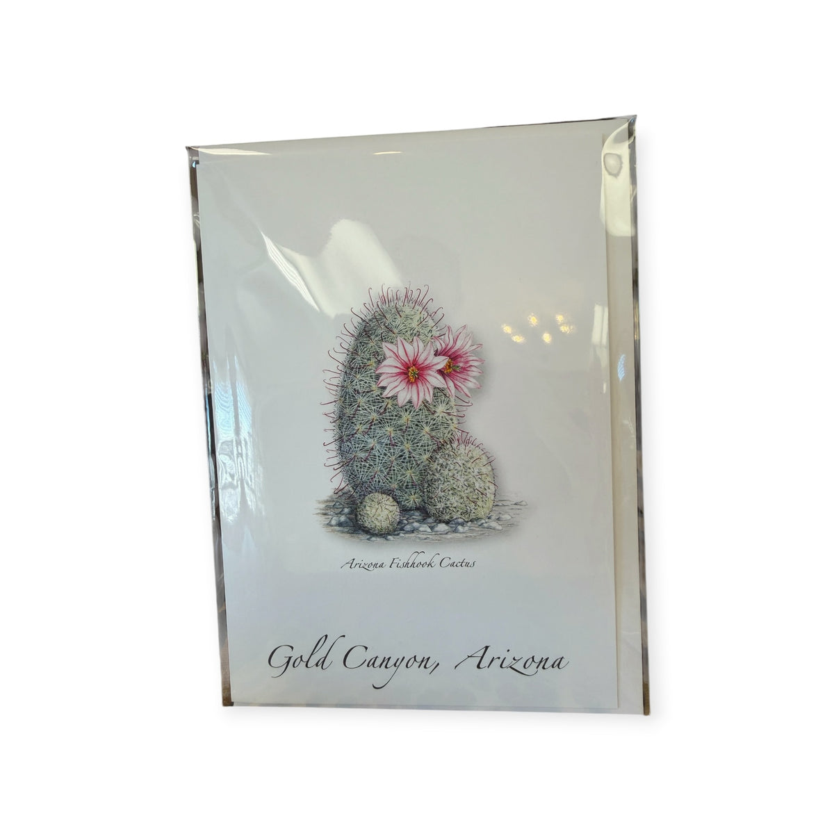 Arizona Fishhook Cactus Greeting Card