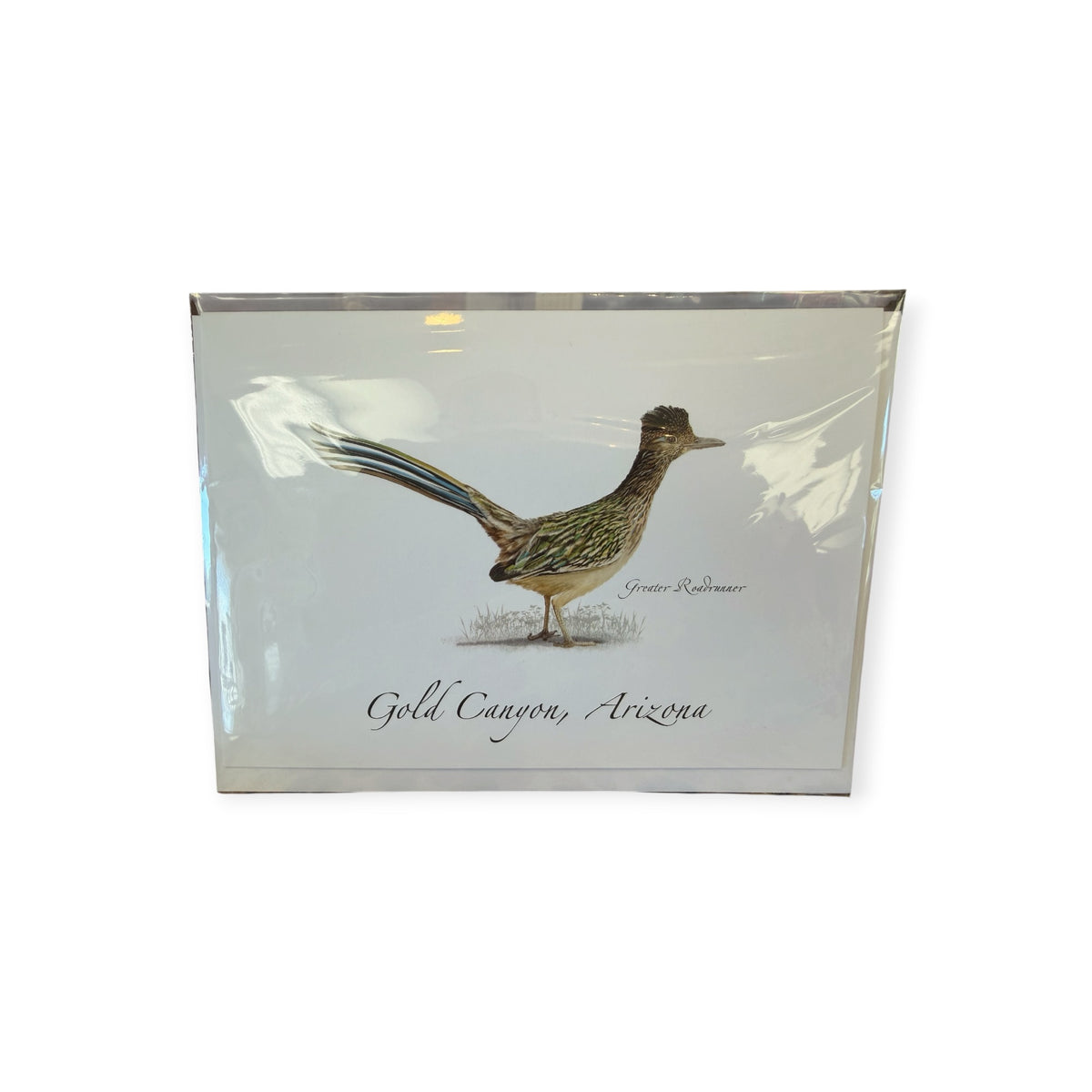 Roadrunner Greeting Card