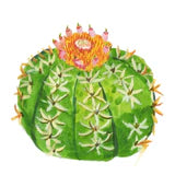 Acrylic Flower Decorative Piece- Small
