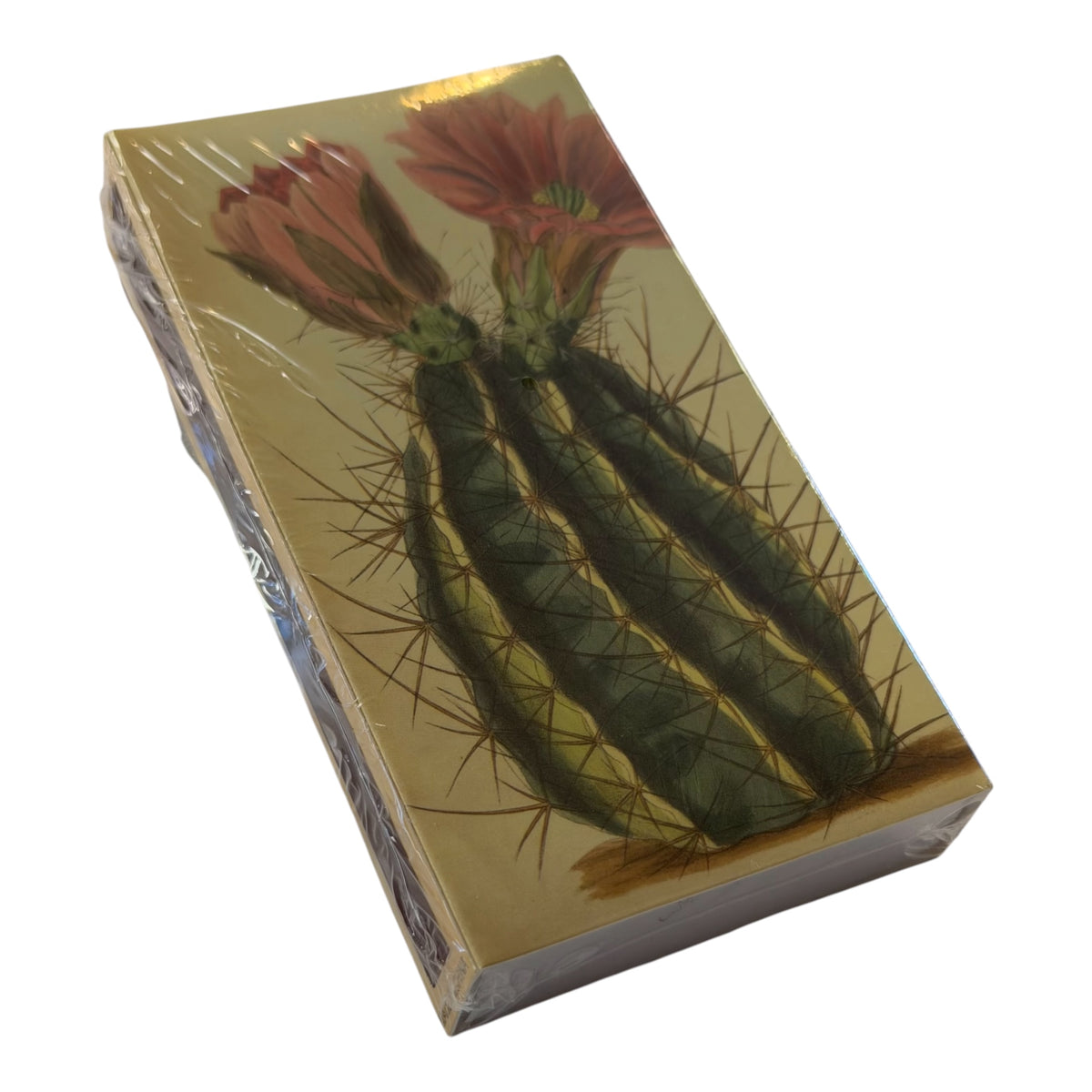 Desert Dreams Gift Box