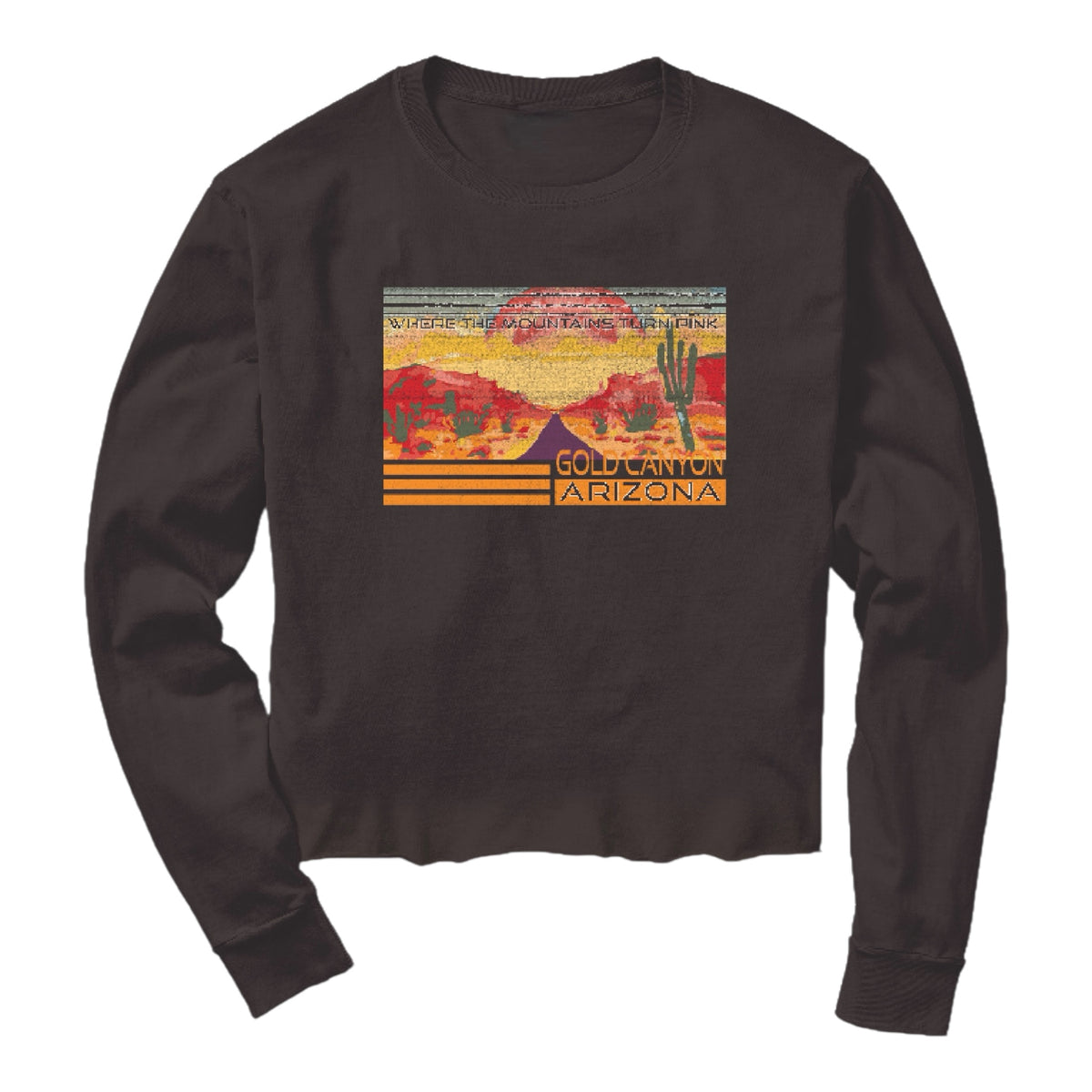 Desert Sunset  Vista Thrift Shop LS Tee