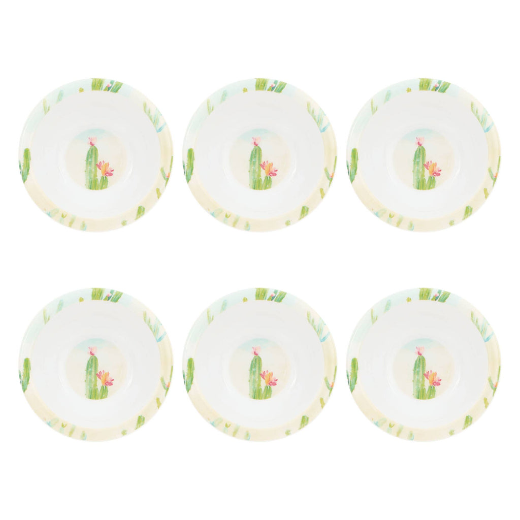 Mini Bowl Cactus Garden 6-Piece