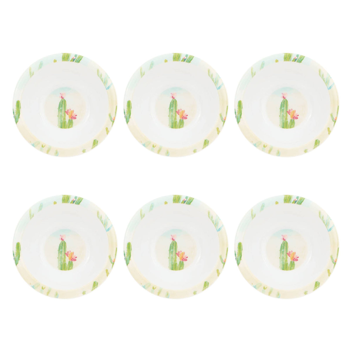 Mini Bowl Cactus Garden 6-Piece
