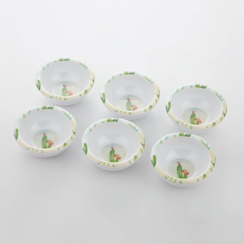 Mini Bowl Cactus Garden 6-Piece